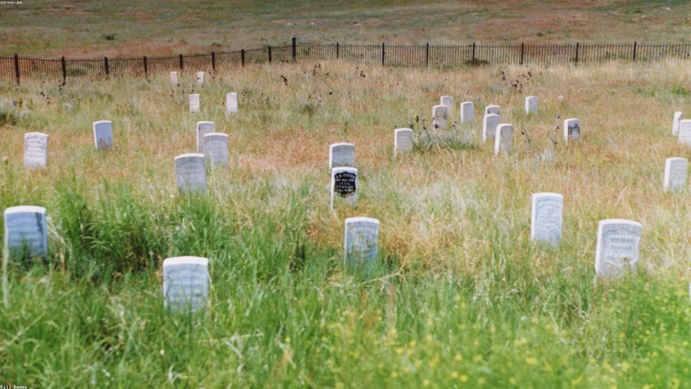 A Comprehensive Guide: Harnessing the Benefits of Fennel Seeds for Colic Relief