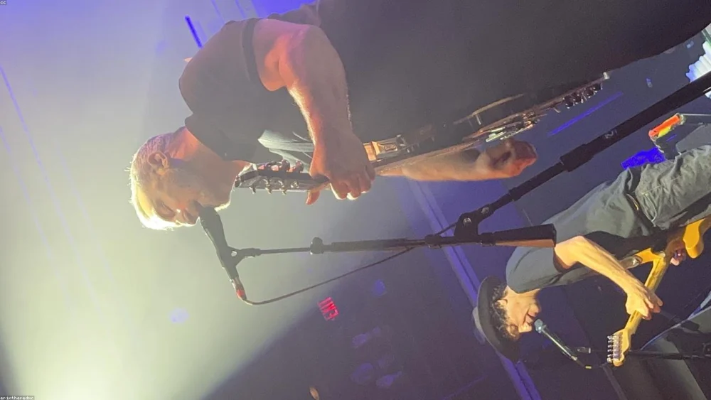 A Comprehensive Guide: How Mustard Powder Can Support Body Detoxification