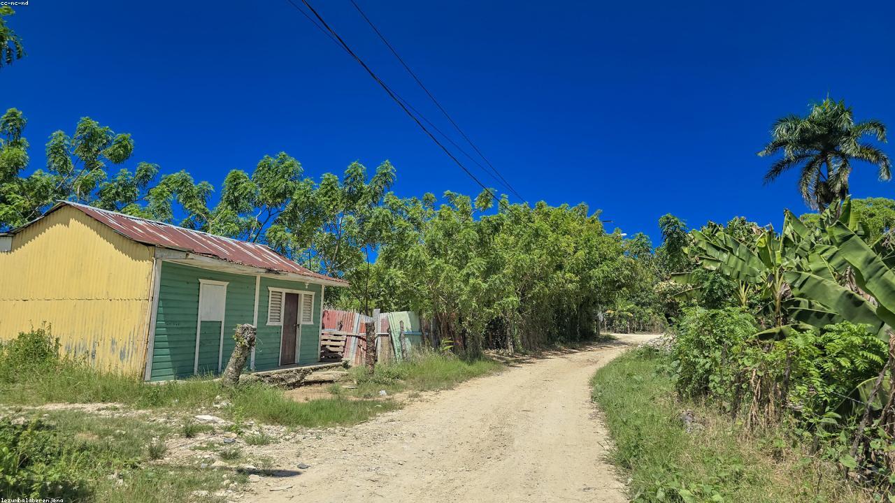 A Comprehensive Guide to Choosing Between Vanilla Bean, Extract, and Paste