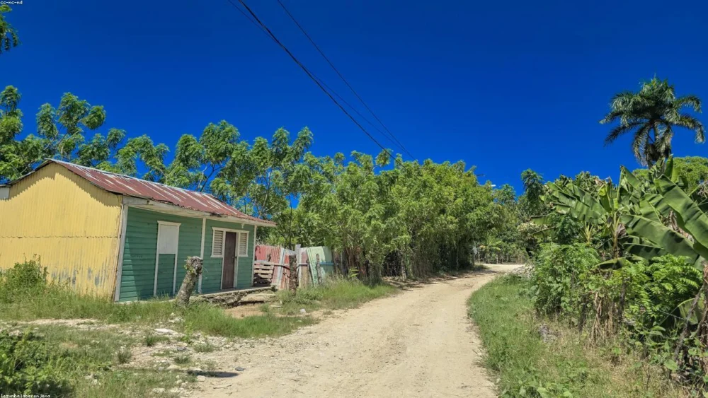 A Comprehensive Guide to Choosing Between Vanilla Bean, Extract, and Paste