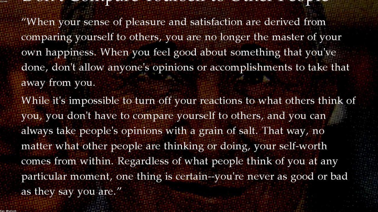 A Comprehensive Guide to Comparing Different Types of Cinnamon Sticks