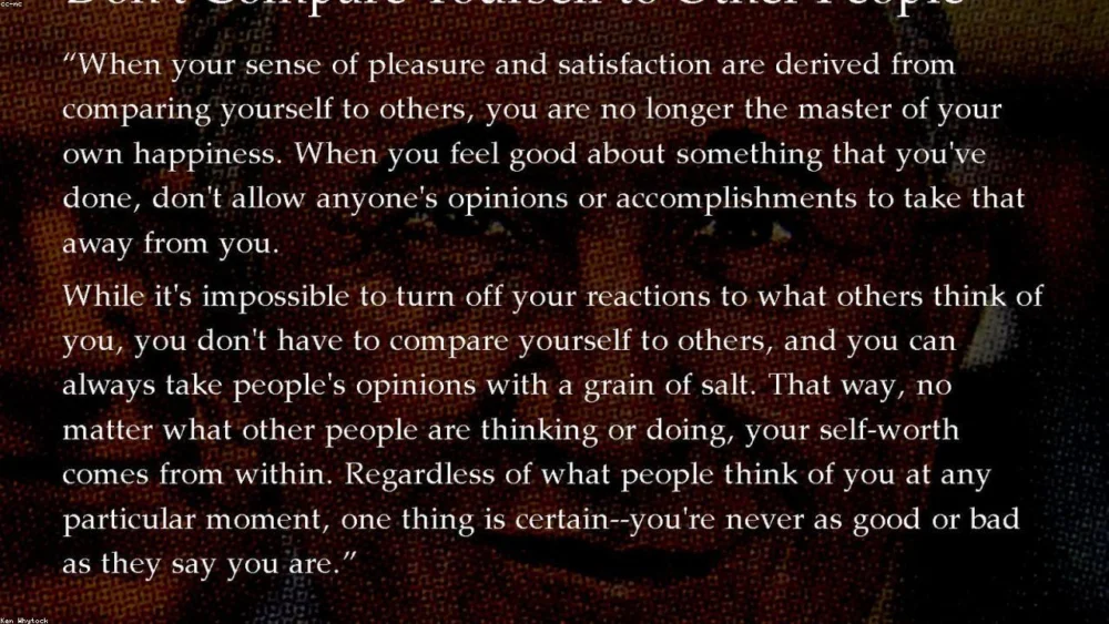 A Comprehensive Guide to Comparing Different Types of Cinnamon Sticks