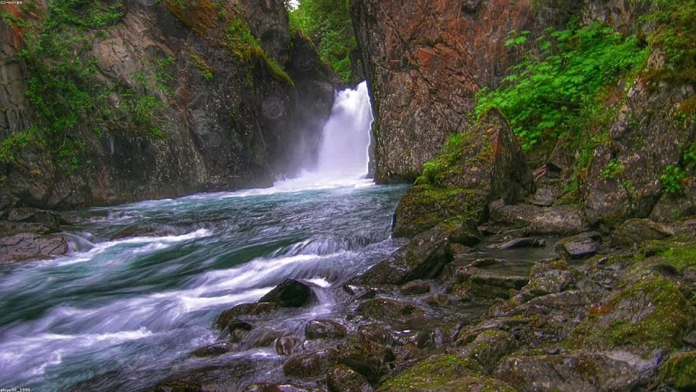 Ancho vs Mulato vs Pasilla: Decoding the Holy Trinity of Mexican Dried Chiles
