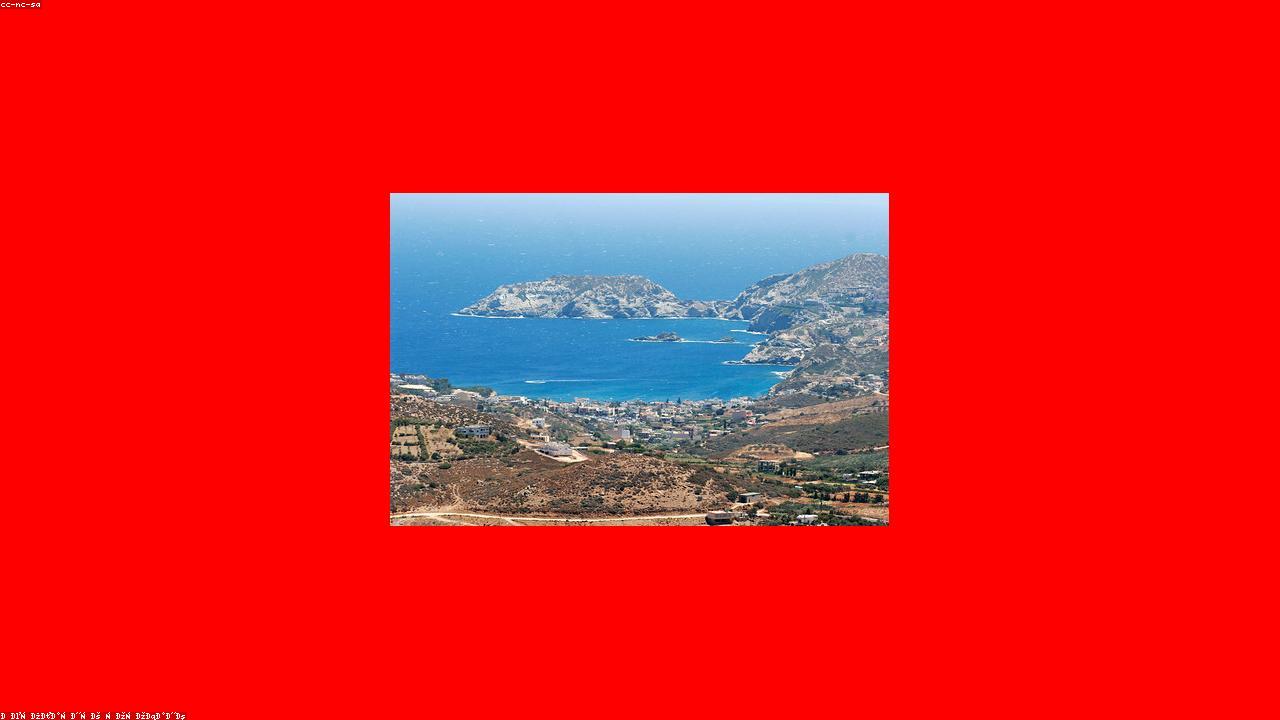 Bay Leaf Substitutes: What Works Best?