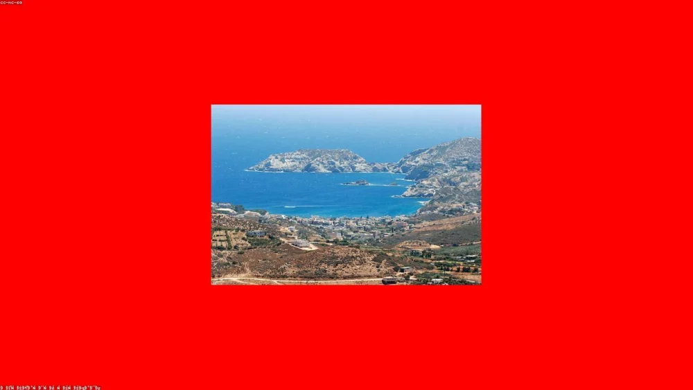 Bay Leaf Substitutes: What Works Best?