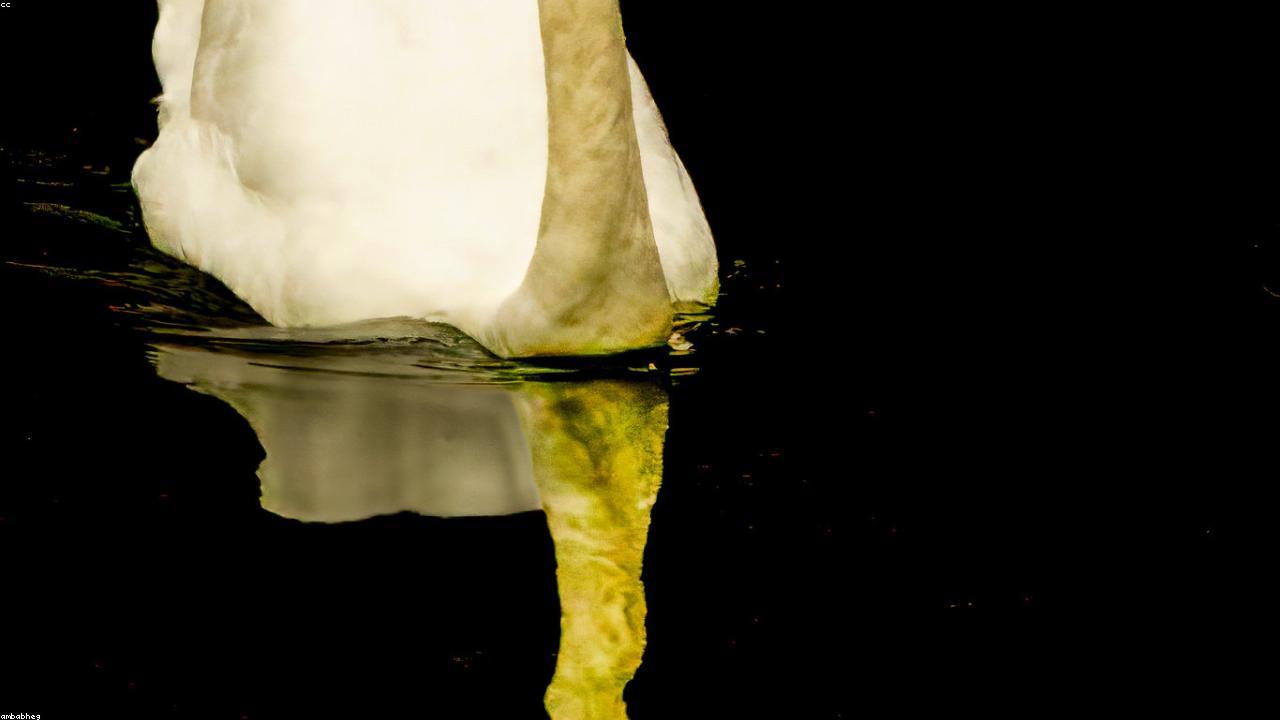 Best Alternatives for Asafoetida (Hing): A Comprehensive Guide