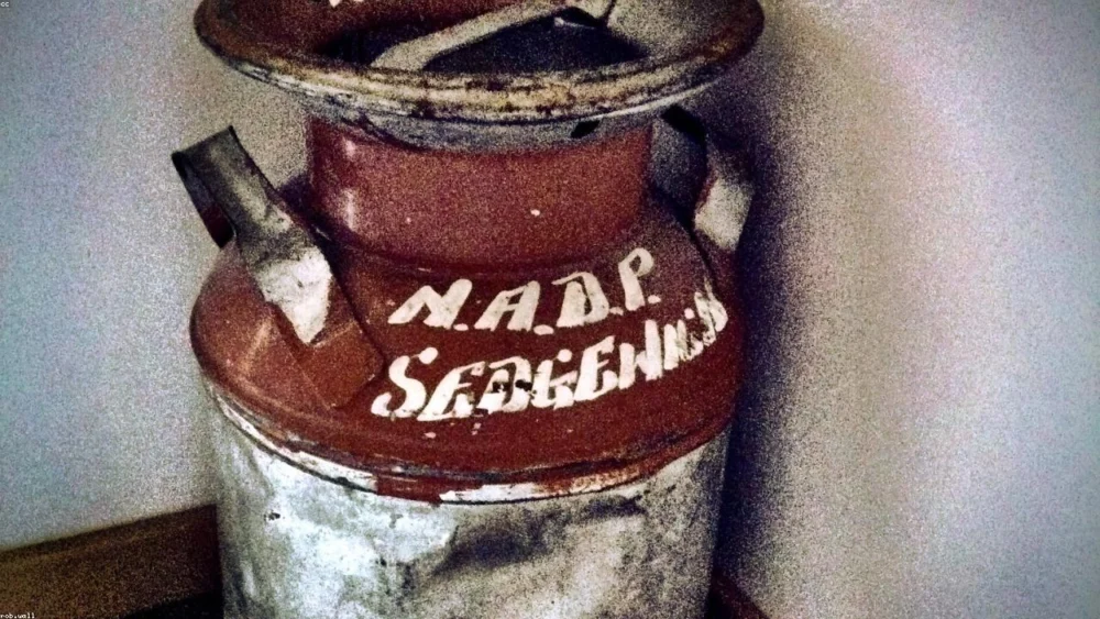 Can You Substitute Cumin for Caraway? A Comprehensive Guide