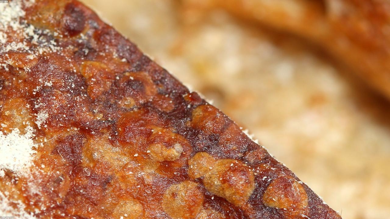 Caraway vs Fennel: A Detailed Guide to Distinguishing the Seeds