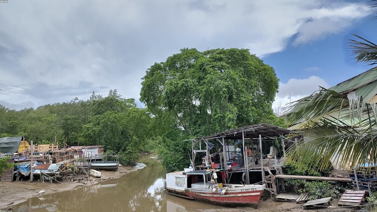 Cayenne Pepper vs Chili Powder: A Complete Comparison Guide