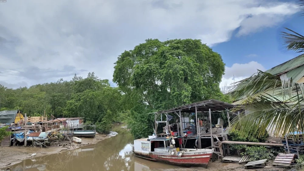 Cayenne Pepper vs Chili Powder: A Complete Comparison Guide