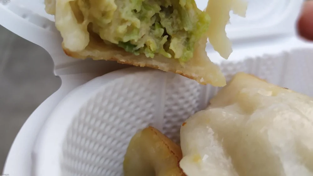 Celery Seed vs Celery Salt: A Comprehensive Comparison and Usage Guide