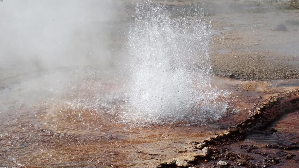 Cinnamon vs Cassia: How to Tell the Difference