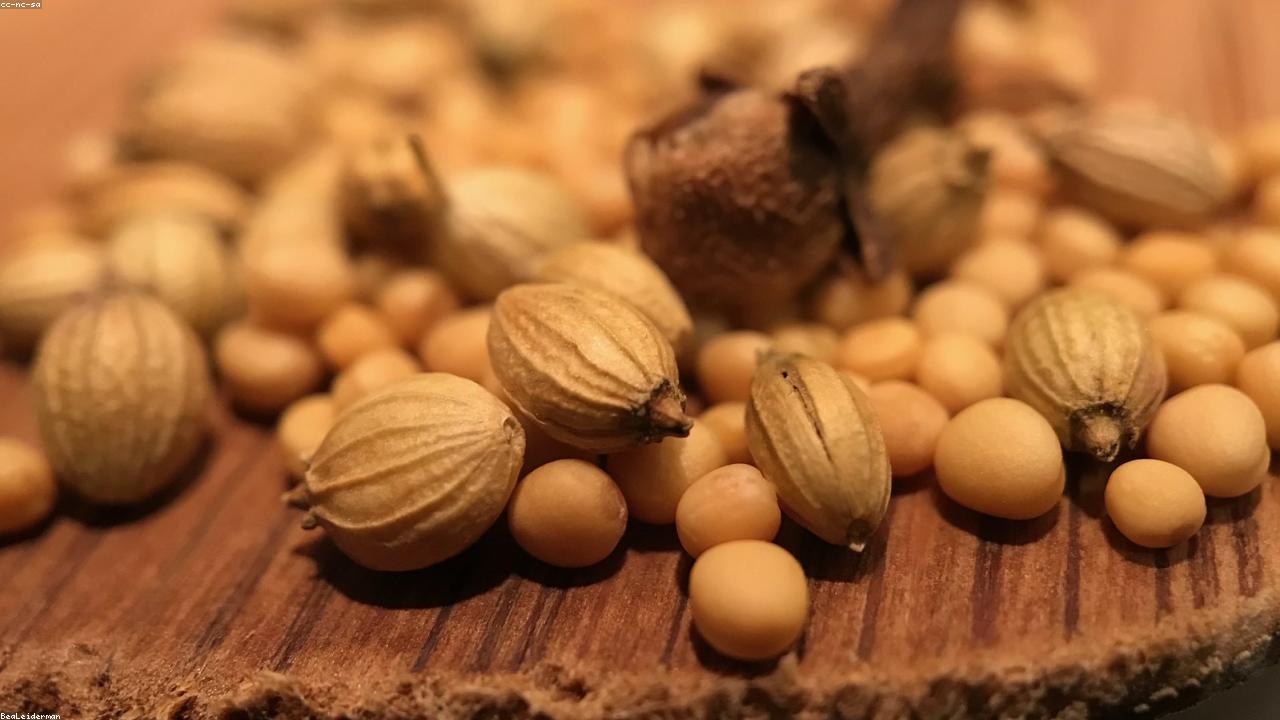 Clove vs Cinnamon: Determining Which Spice Delivers the Strongest Flavor Impact