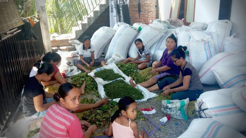 Cloves Substitute: What to Use in a Pinch