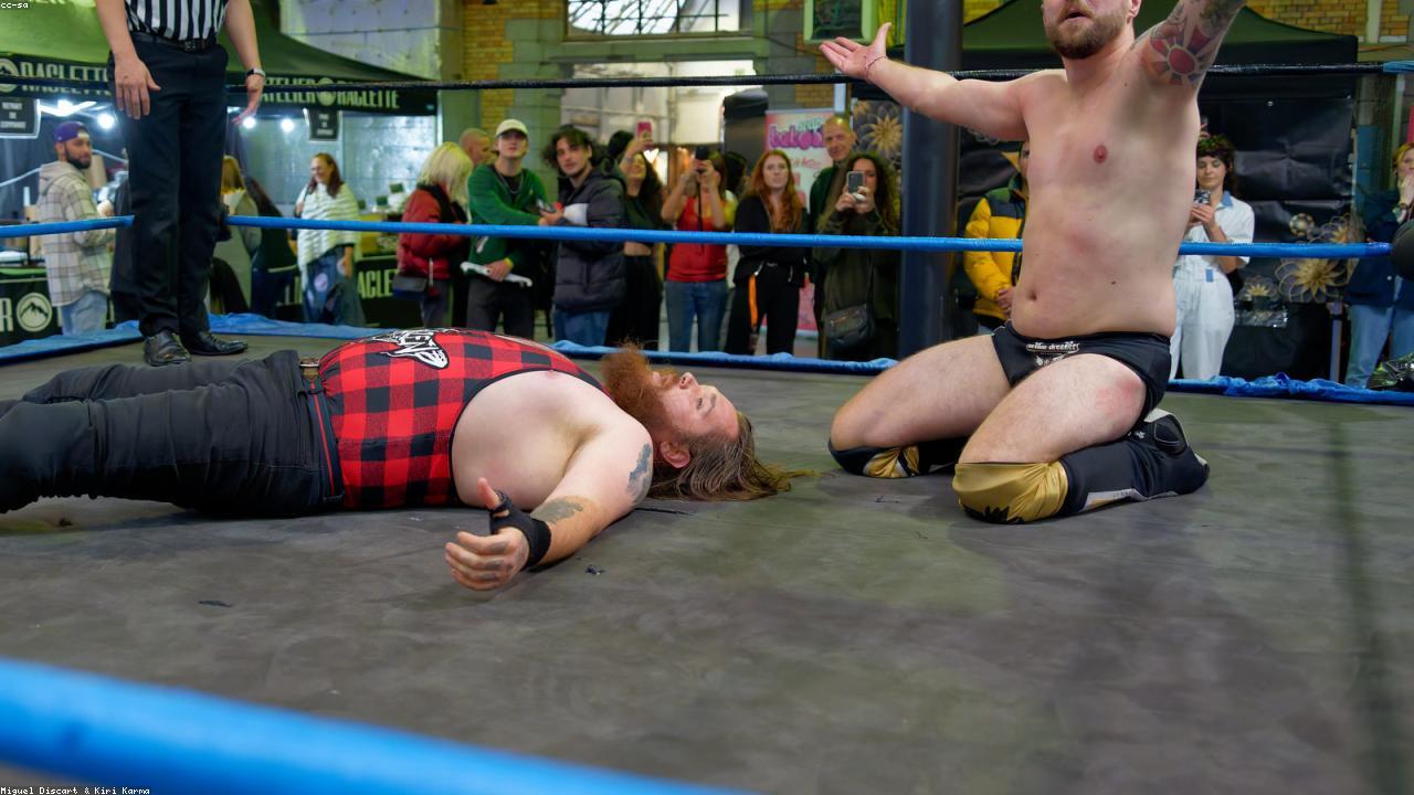 Comprehensive Guide to the Best Substitutes for Juniper Berries in Cooking