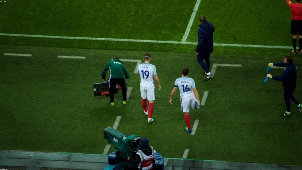 Effective Substitutes for Celery Seeds in Potato Salad