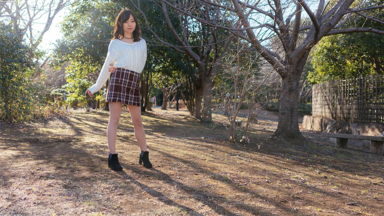 Fresh Turmeric vs Dried Turmeric: A Potency Showdown