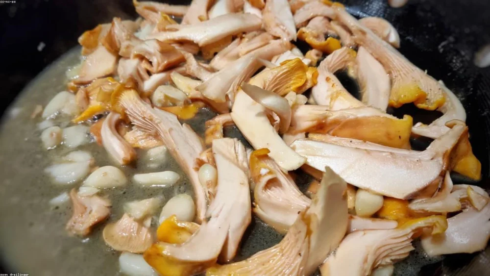 Garlic Powder vs Garlic Salt: Why it Matters