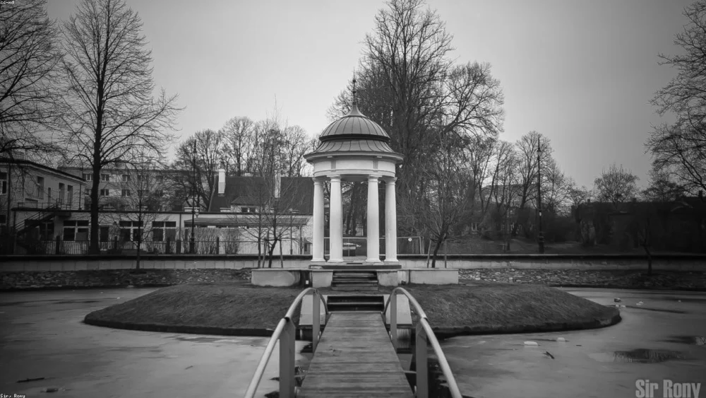 Harnessing Flavor and Health: The Role of Spices in Longevity and Aging