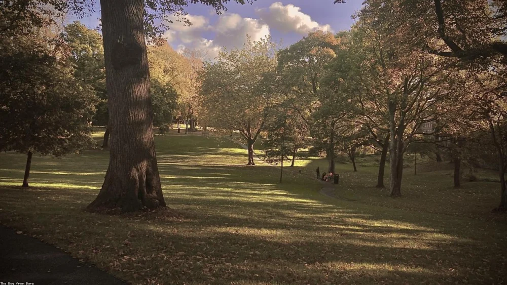 Harnessing Herbal Power: The Benefits of Sage for Soothing Sore Throats