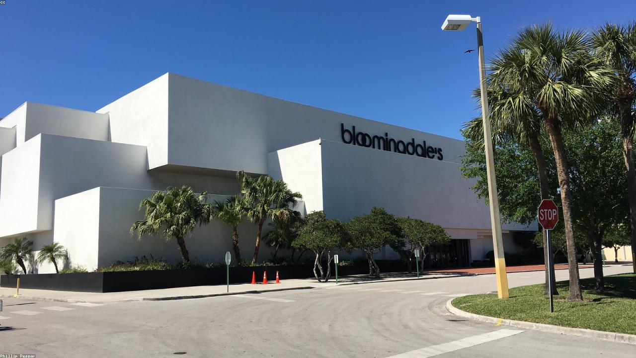 Harnessing Nature’s Power: The Anti-Arthritic Benefits of Turmeric