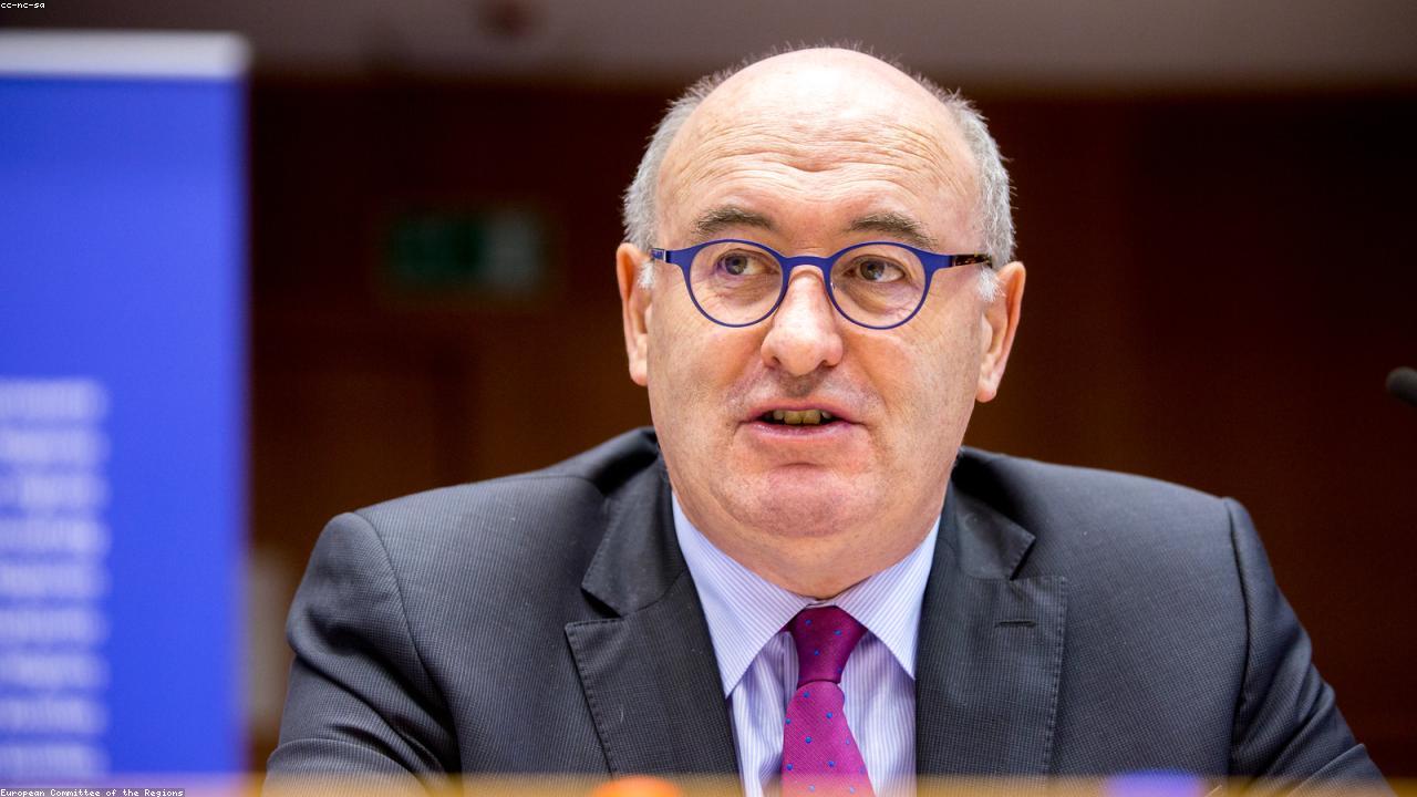 Harnessing Nature’s Support: The Benefits of Poppy Seeds for Nerve Health