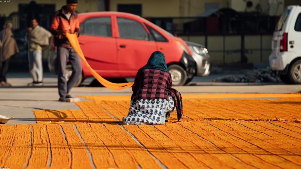 Harnessing Saffron’s Power: A Step-by-Step Guide to Boosting Mental Health and Mood