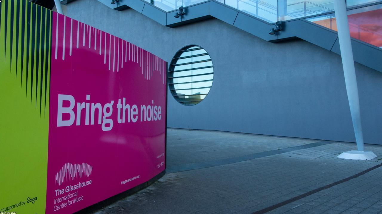 Harnessing the Power of Bay Leaves: A Natural Remedy for Dandruff and Scalp Health