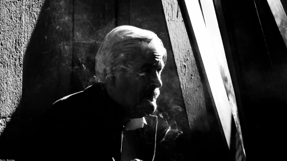 Harnessing the Power of Dill: A Guide to Enhancing Your Bone Health