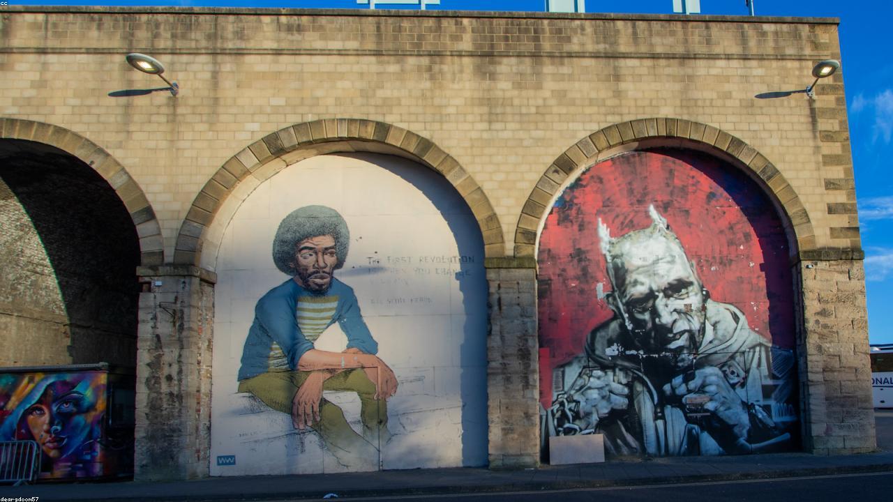 Harnessing the Power of Sage: A Guide to Managing Menopause Symptoms