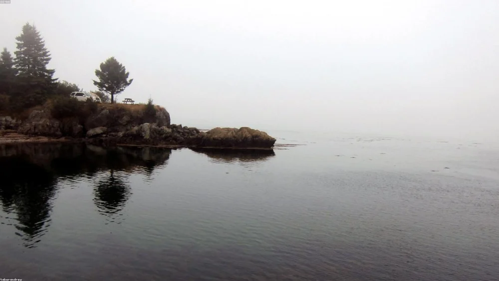 How to Substitute Ground Cloves for Whole Cloves in Recipes