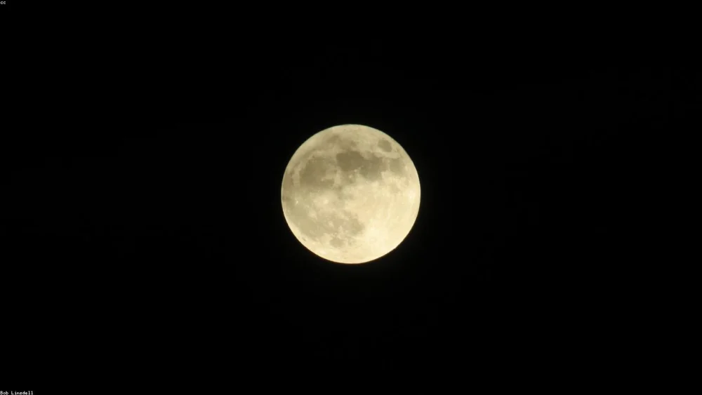 How to Successfully Substitute Oregano for Basil in Your Cooking