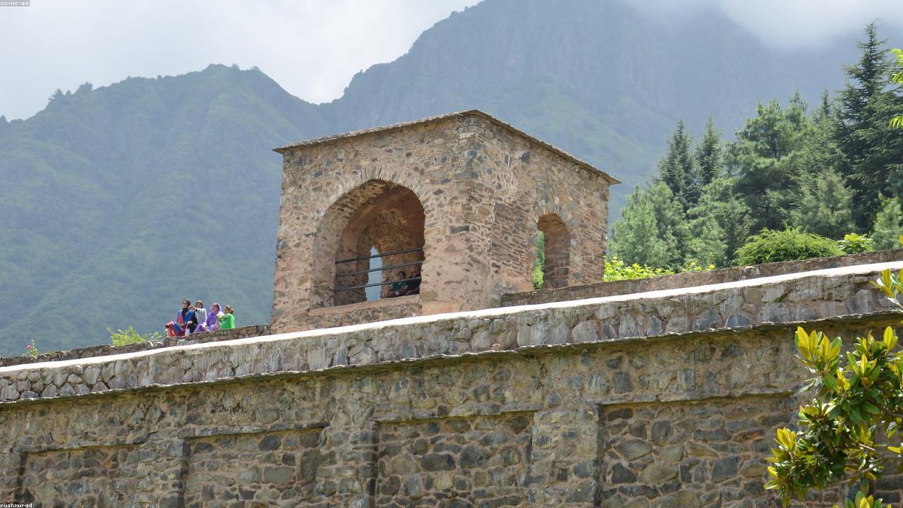 Kashmiri Chili vs. Deghi Mirch: The Definitive Color Guide