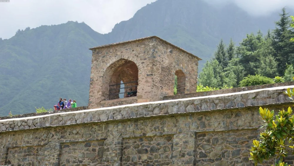 Kashmiri Chili vs. Deghi Mirch: The Definitive Color Guide