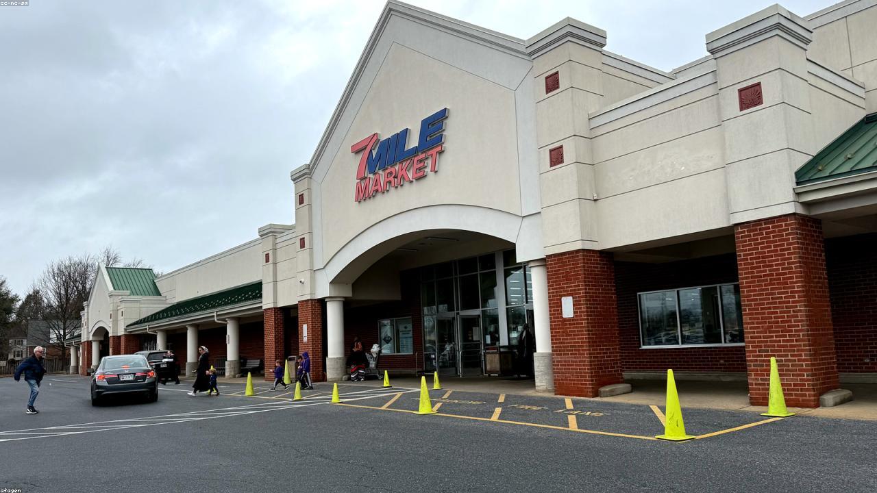 Kosher Salt vs Sea Salt vs Table Salt: A Guide to Choosing the Right Salt for Spicing