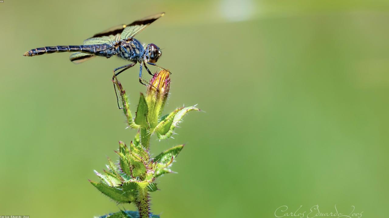 Mastering Precision: Essential Tips for Measuring Spices Accurately