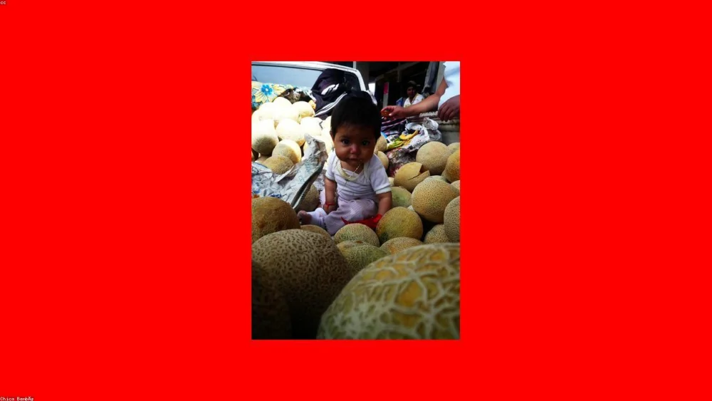 Mexican Oregano vs Mediterranean Oregano: A Comprehensive Flavor Comparison Guide