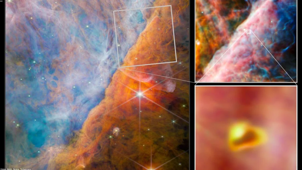 Star Anise vs Anise Seed: A Comprehensive Guide to Telling Them Apart