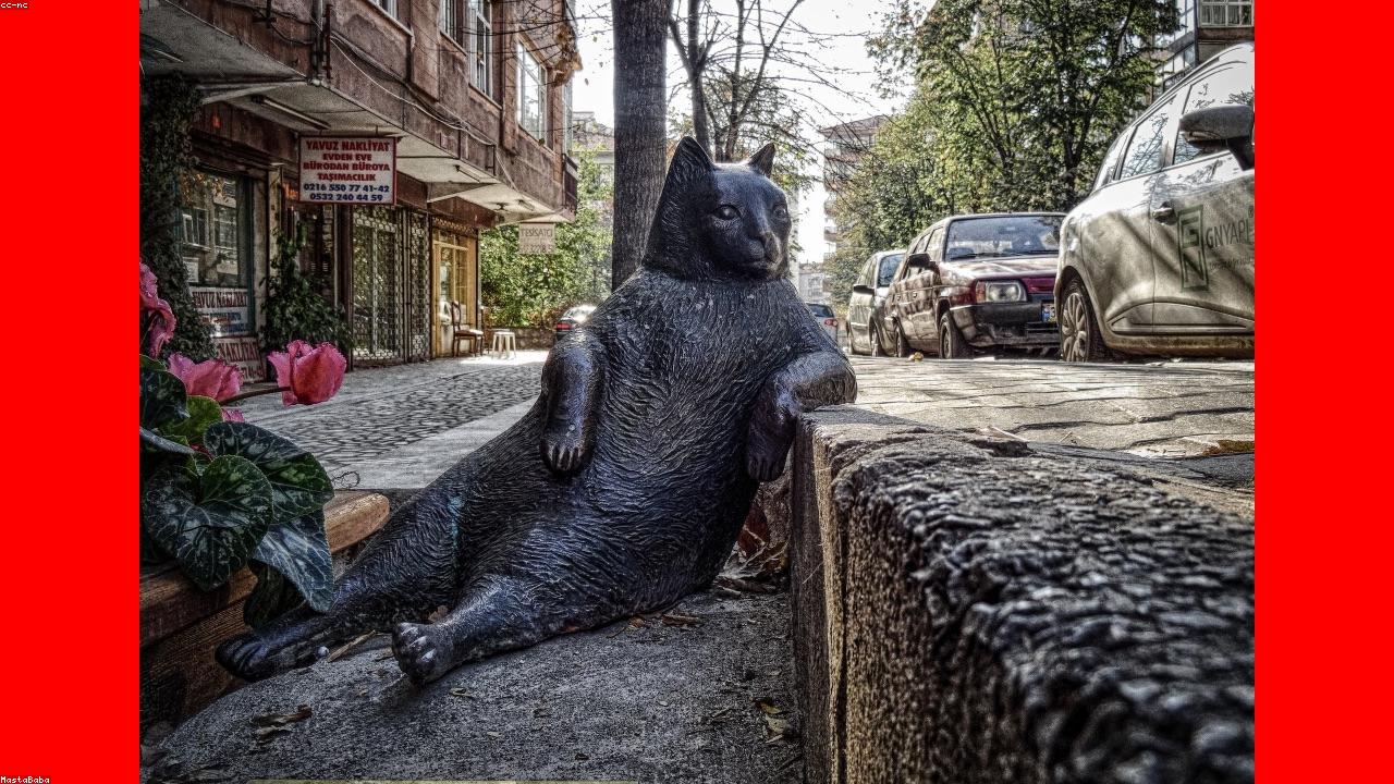 Substituting Fresh Herbs for Dried: The Essential Ratio Guide