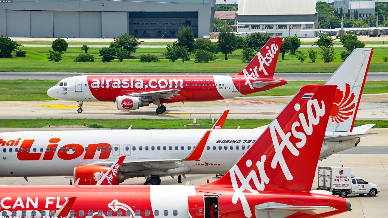 The Definitive Guide: Thai Basil vs Holy Basil vs Sweet Basil