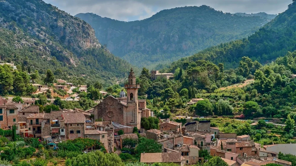 The Health Benefits of Hibiscus Powder: A Comprehensive Guide