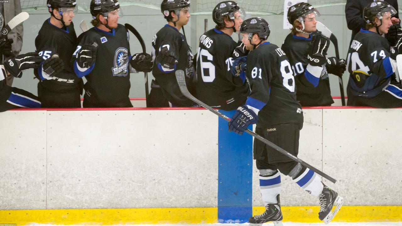 The Impact of Curcumin on Brain Function: A Comprehensive Guide