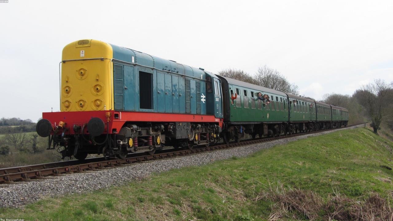 The Role of Thyme in Respiratory Health: A Comprehensive How-To Guide