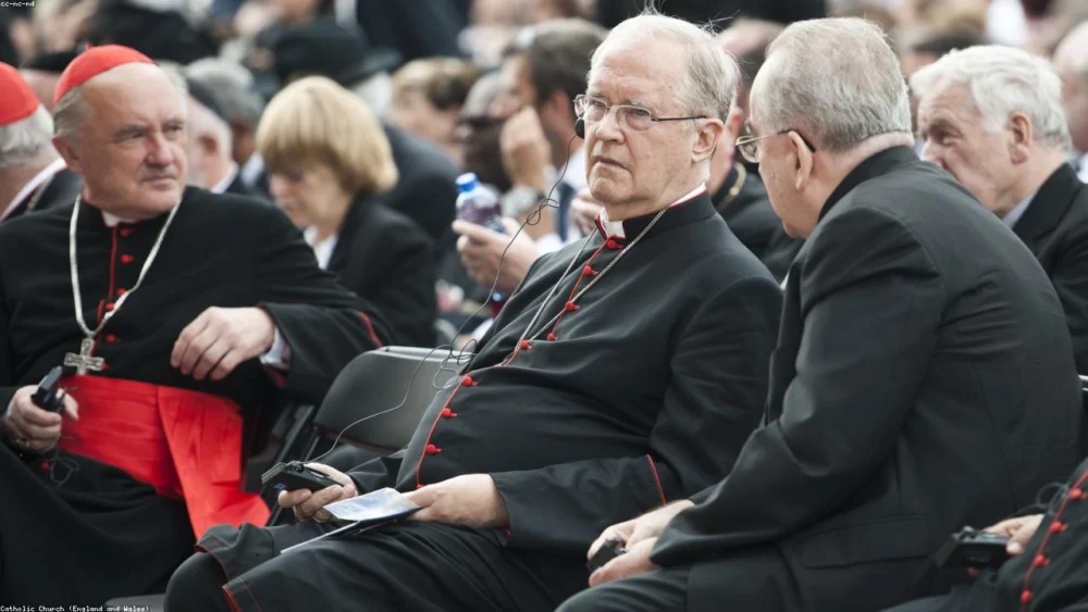 The Science Behind Ginger’s Pain-Relieving Power: A Deep Dive