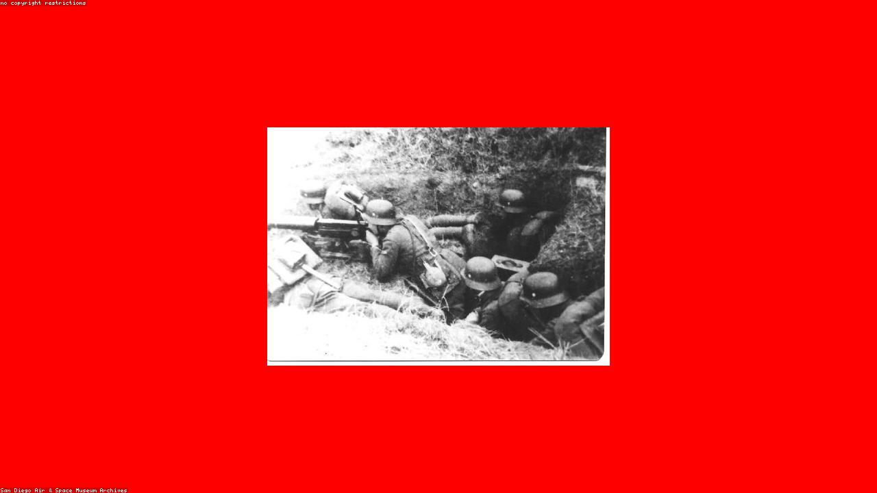 The Therapeutic Profile of Lavender in Cooking: A Culinary Guide