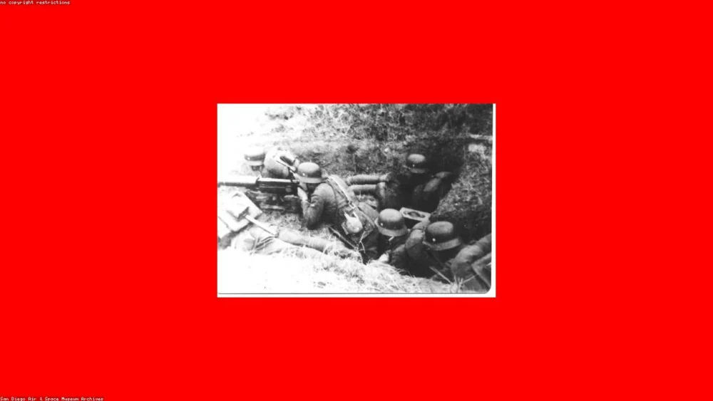 The Therapeutic Profile of Lavender in Cooking: A Culinary Guide