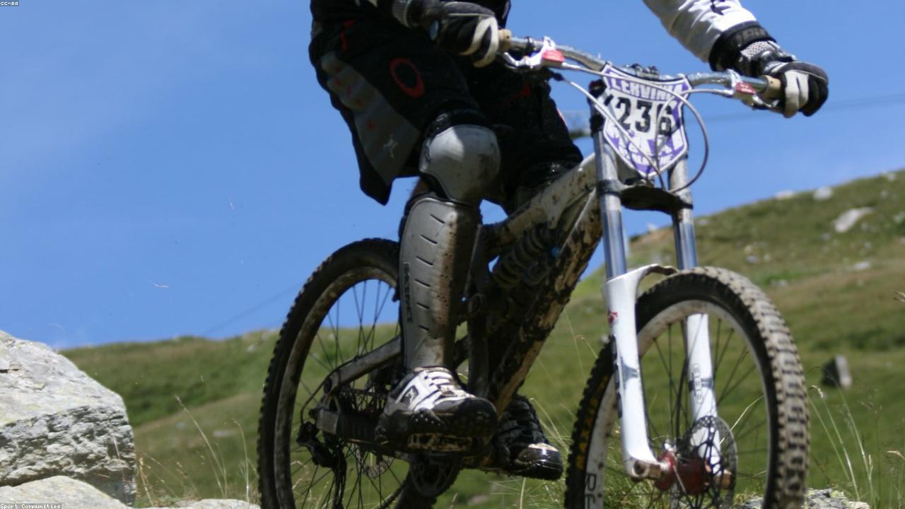 Unlocking Wellness: A Guide to Health Benefits and Therapeutic Profiles (201-300 Level)