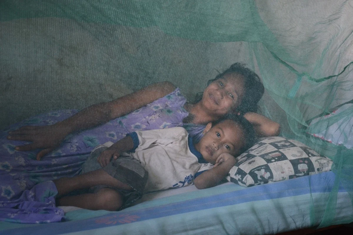 Timor-Leste Officially Certified Malaria-Free by WHO in Historic Public Health Milestone
